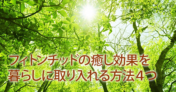 フィトンチッドの癒し効果を暮らしに取り入れる方法４つ 木のある心地よい暮らし 木材屋が厳選した無垢フローリング 株式会社大忠